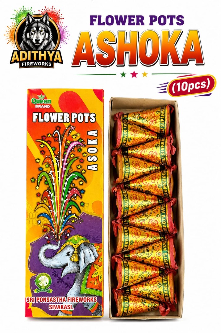 Flower Pots Ashoka